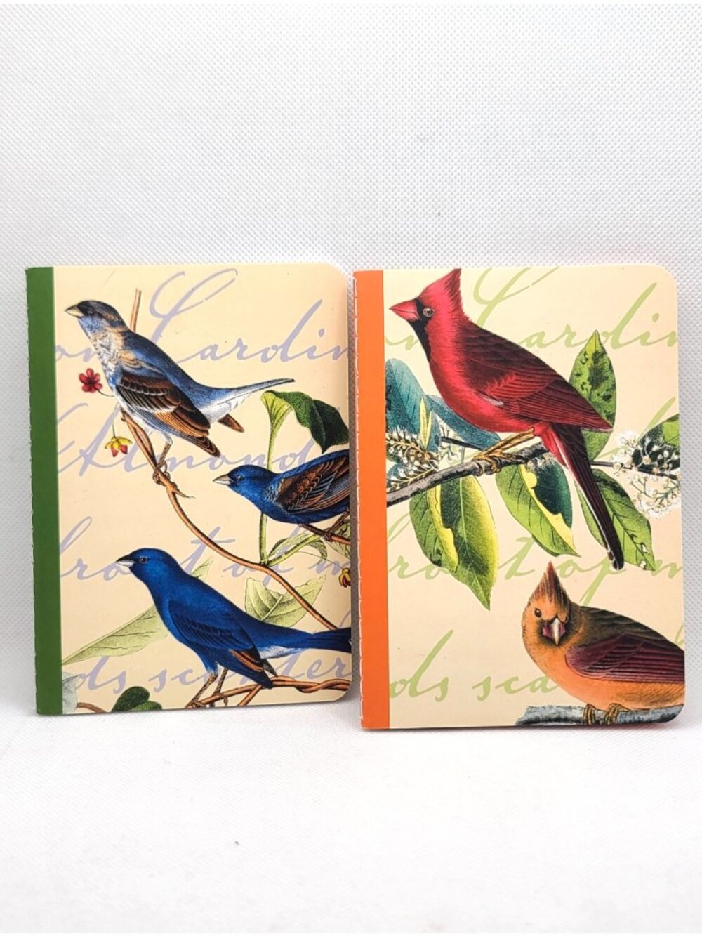 2 Metropolitan Museum Of Art Audubon Birds Pocket Pads Notebook 3.5" x 5.5" NEW